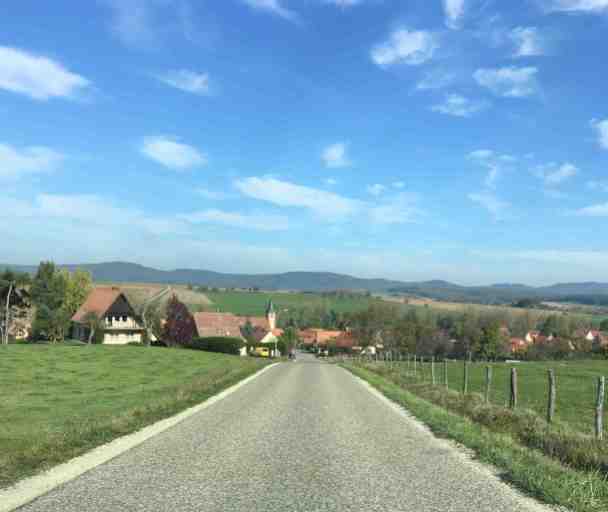 Route des vins d'Alsace 2
